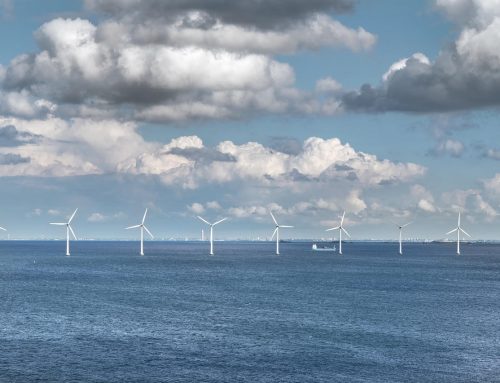 TotalEnergies zdobywa kolejny obszar pod morską energetykę wiatrową na niemieckim Morzu Północnym